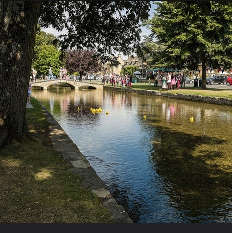Exemple Cursa Duck Race