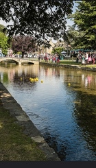 Exemple Cursa Duck Race