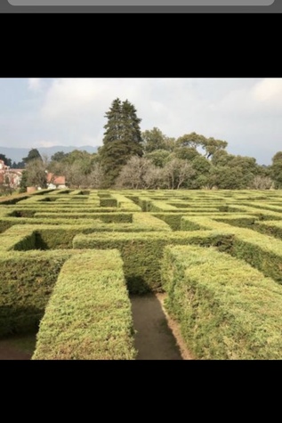 Exemple de laberint anglès