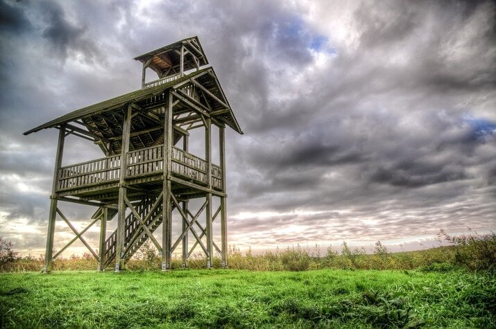 Birdwatcher: Avistador de Aves,  Conoce tu entorno!