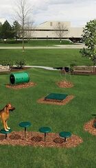 Parque Canino Bonavista