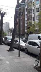 Av. Pau Casals
